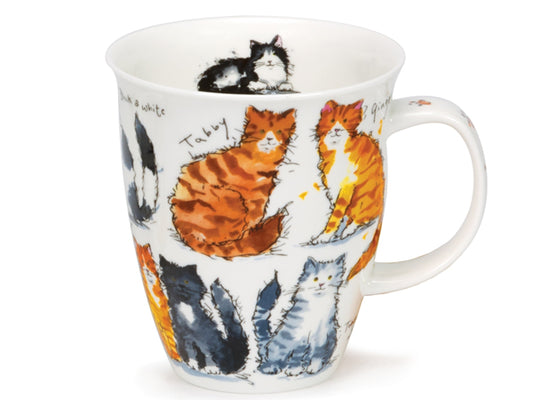 Dunoon Nevis Messy Cats Mug