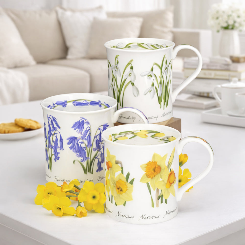 The Mug Company – themugcompany.co.uk