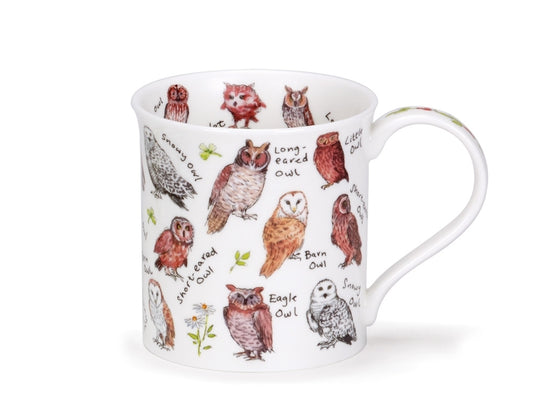 it features detailed illustrations by artist Kate Mawdsley of wise and whimsical owls. Showcasing a variety of owl species, including Barn, Tawny, Long-Eared, and more