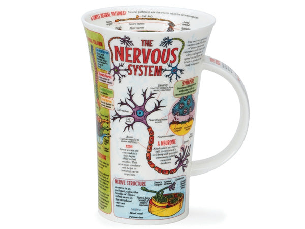 Adorned with intricate illustrations depicting the complex network of neurons and synapses governing our thoughts, emotions, and actions, this mug invites you to delve into the marvels of the brain.