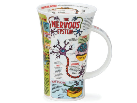 Adorned with intricate illustrations depicting the complex network of neurons and synapses governing our thoughts, emotions, and actions, this mug invites you to delve into the marvels of the brain.