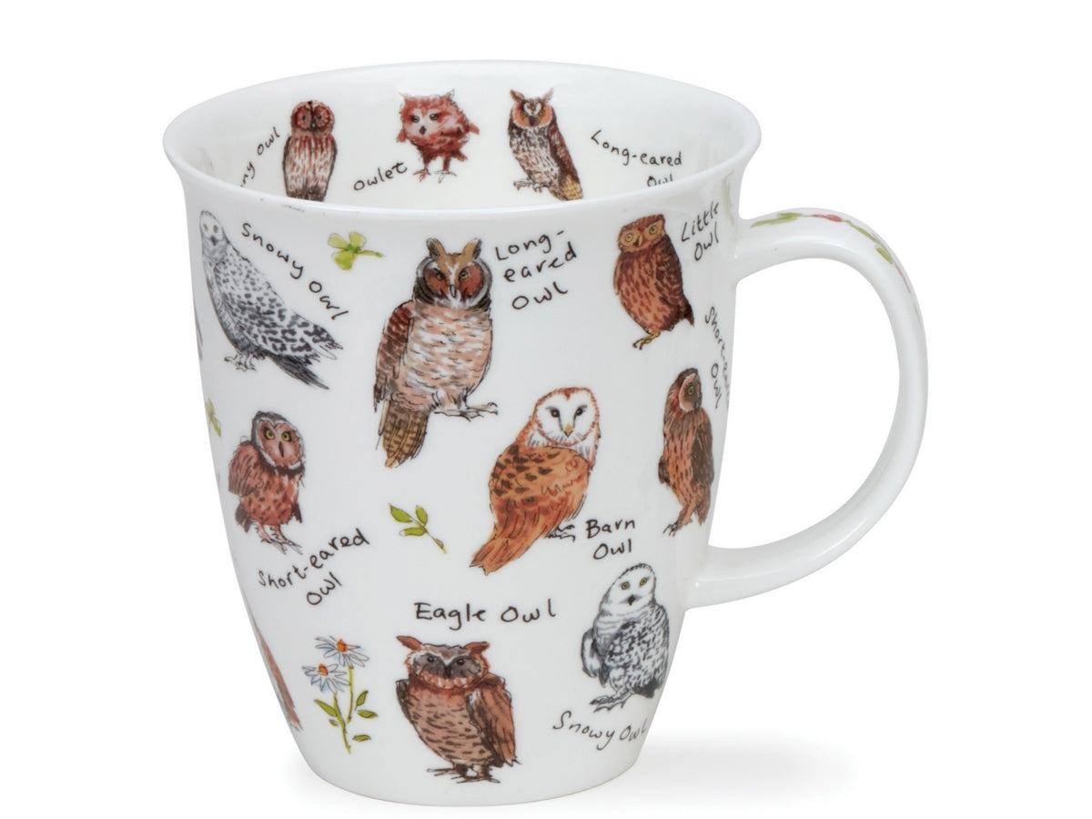 Dunoon Nevis Bird Life Owls fine bone china mug with illustrated owl species and their names