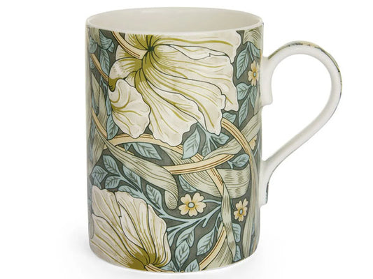  renowned for its captivating tulip leaves and flowers in soft cream and green tones, it exudes understated elegance. 