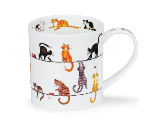 Bringing a playful touch to your mug collection, this quirky Dunoon design features lively cats on 'live wires'. Crafted from fine bone china by Dunoon's skilled artists, each mug is a perfect creation.