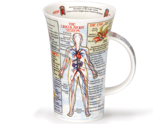 Glencoe 'Bodyworks' Mug from Dunoon is skillfully crafted using fine bone china and showcases detailed diagrams of the circulatory system and nervous system