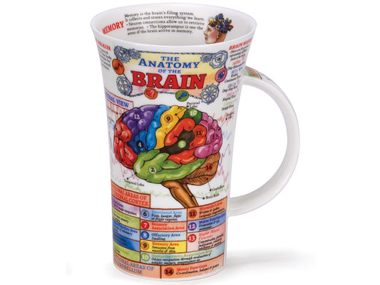 This large Dunoon mug is full of fun facts about the human brain. This piece of fine bone china is covered in anatomical information, from different views of the areas of the brain to how it processes our five senses.