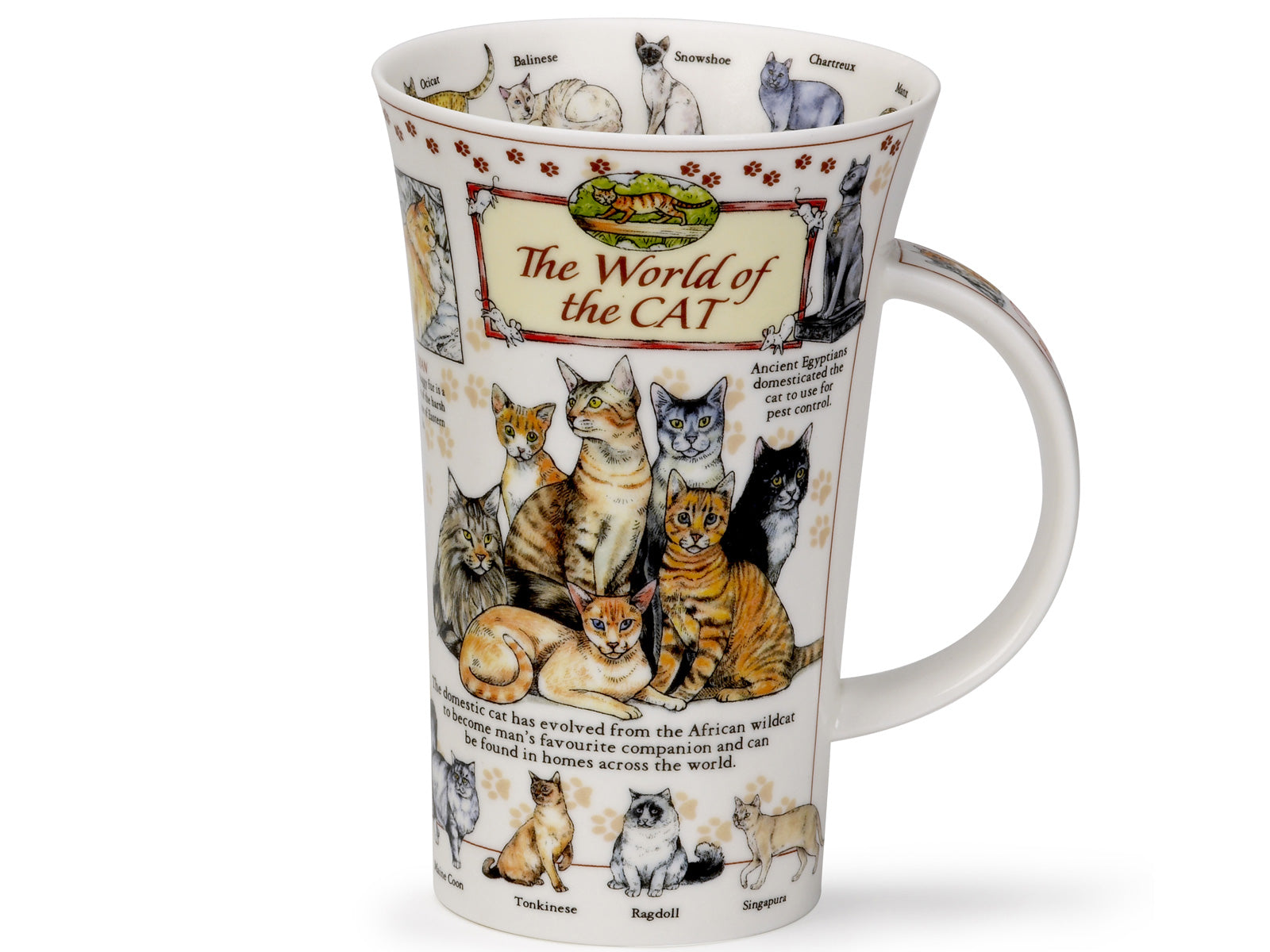Dunoon's Glencoe 'World of the Cat' Mug is crafted of a fine bone china and is printed with all different manner of cats around its exterior, offering its user a range of interesting facts about each different breed. With cats also dotted around its inner rim
