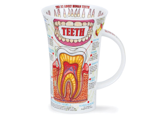 This quirky mug is covered in facts and diagrams about human teeth. Made of fine bone china in Dunnons   British factory, this mug is perfect for keeping your tea or coffee warm while you drink it. This unusual mug would make a wonderful thank you gift for your dentist!
